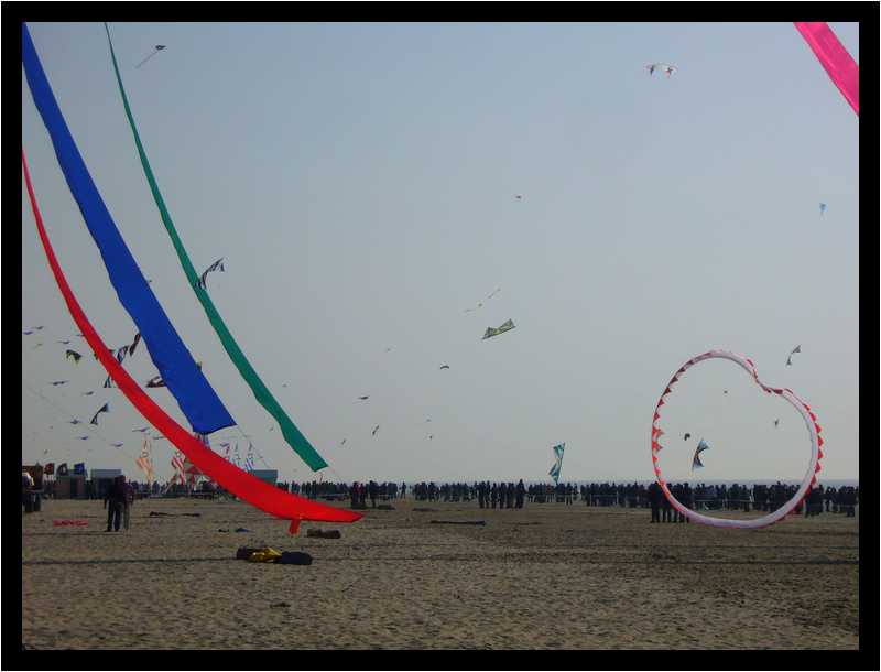 [24eRencontresInternationalesDeCerfsVolants10_09-moyen.jpg]