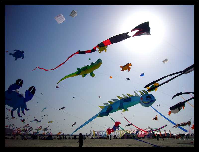 [24eRencontresInternationalesDeCerfsVolants10_11-moyen.jpg]