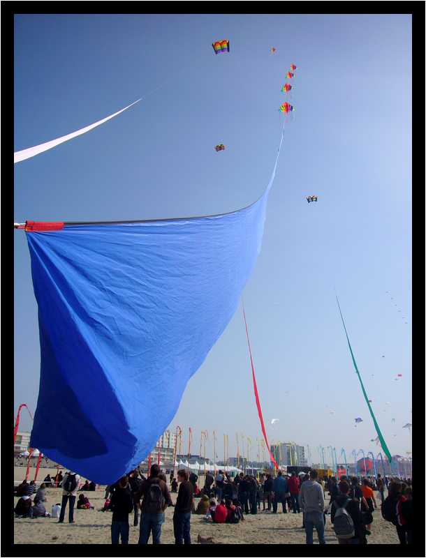 [24eRencontresInternationalesDeCerfsVolants10_26-moyen.jpg]