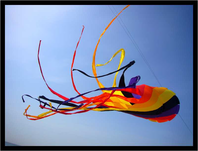 [24eRencontresInternationalesDeCerfsVolants10_29-moyen.jpg]