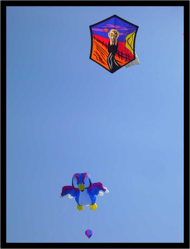 [24eRencontresInternationalesDeCerfsVolants10_32-moyen.jpg]