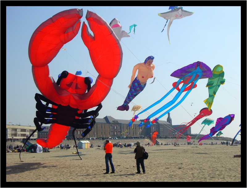 [24eRencontresInternationalesDeCerfsVolants10_33-moyen.jpg]