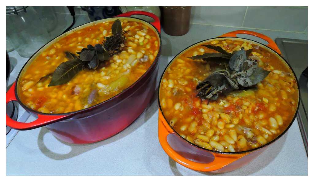 [Cassoulet17_19-moyen.jpg]